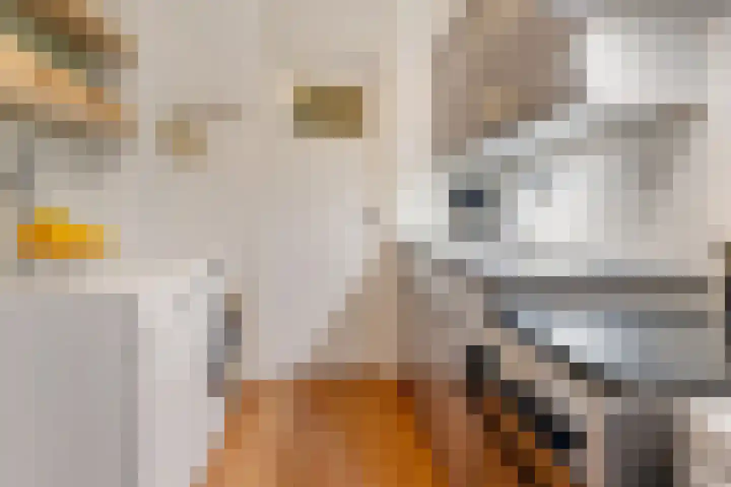 Cayennedreef 16 Utrecht thumbnail 18