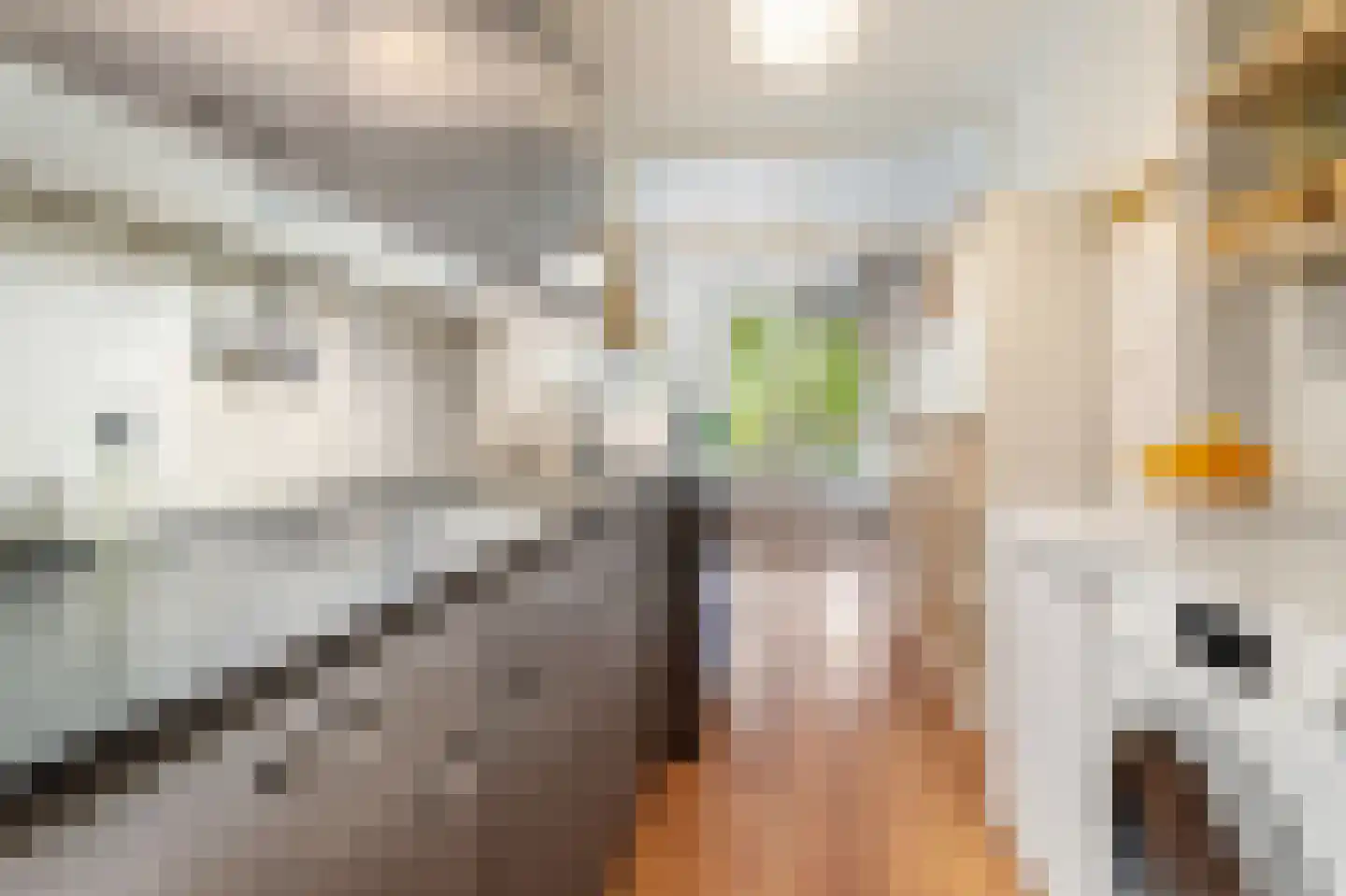 Cayennedreef 16 Utrecht thumbnail 19
