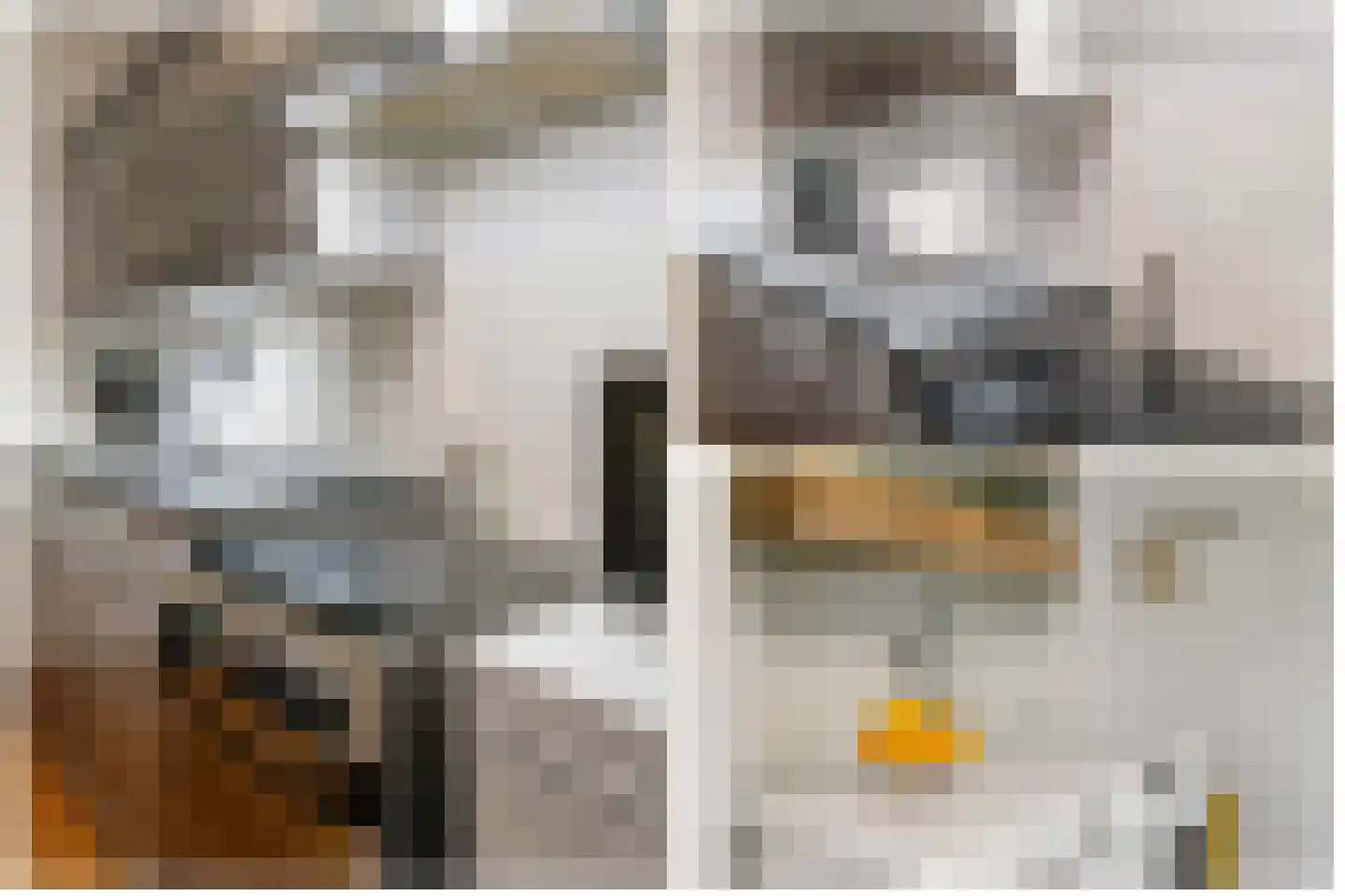 Cayennedreef 16 Utrecht thumbnail 20