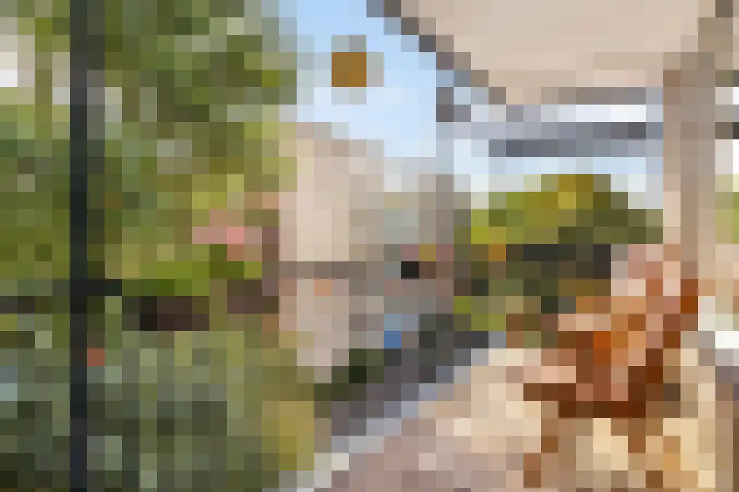 Cayennedreef 16 Utrecht thumbnail 4
