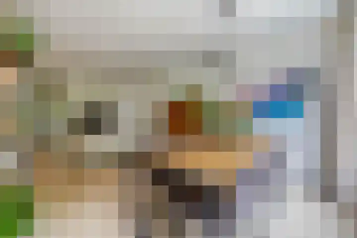 Cayennedreef 20 Utrecht thumbnail 19