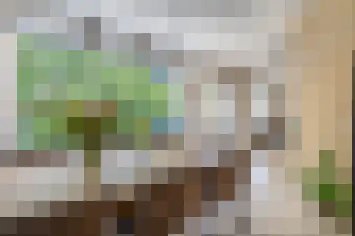 Cayennedreef 20 Utrecht thumbnail 20