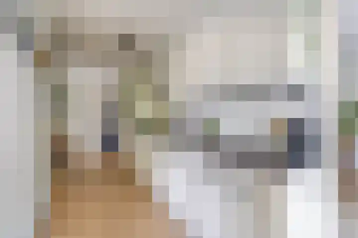 Cayennedreef 20 Utrecht thumbnail 21