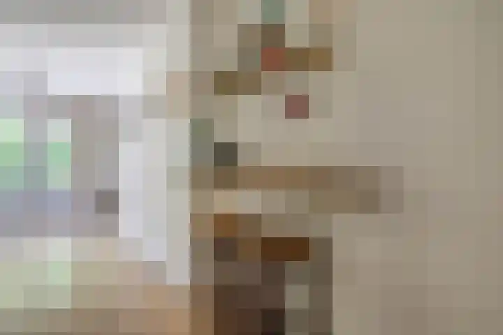 Cayennedreef 20 Utrecht thumbnail 23