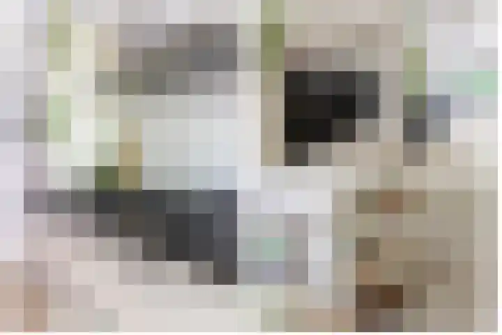Cayennedreef 20 Utrecht thumbnail 26