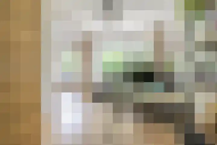 Cayennedreef 20 Utrecht thumbnail 33