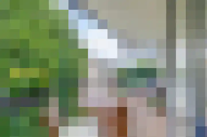 Cayennedreef 20 Utrecht thumbnail 35