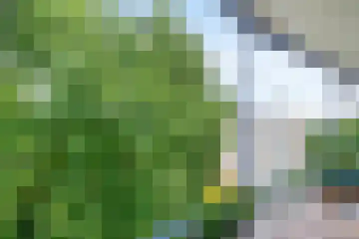Cayennedreef 20 Utrecht thumbnail 38