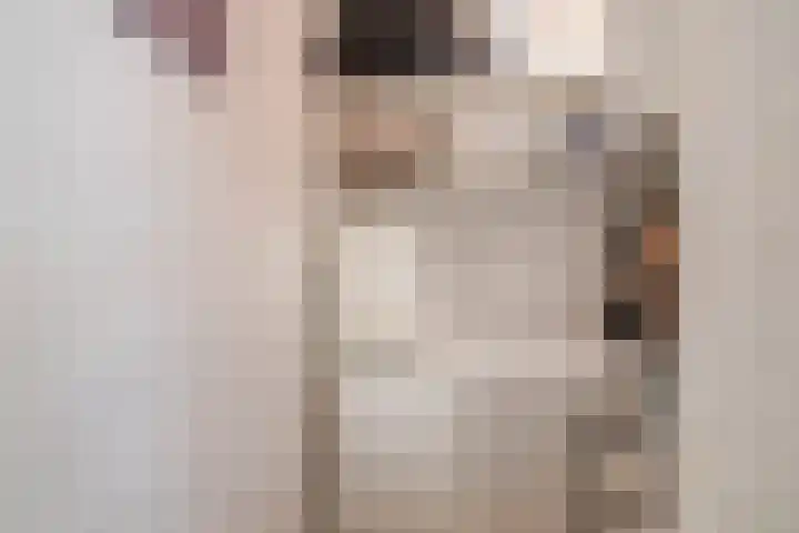 Cayennedreef 20 Utrecht thumbnail 40