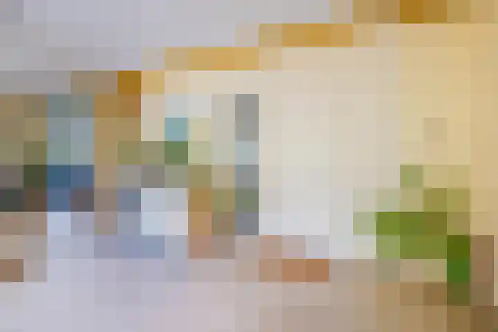 Cayennedreef 20 Utrecht thumbnail 41