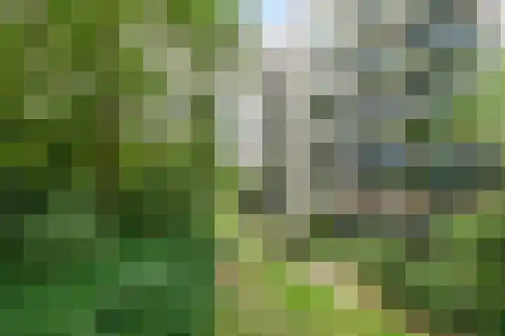 Cayennedreef 20 Utrecht thumbnail 44