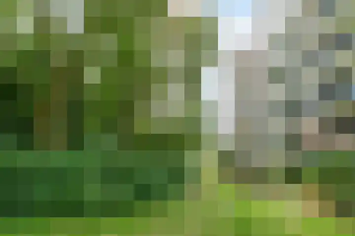 Cayennedreef 20 Utrecht thumbnail 45