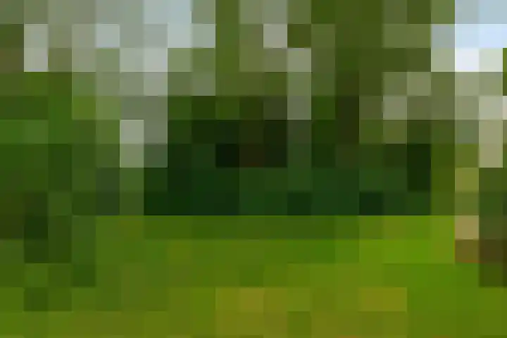 Cayennedreef 20 Utrecht thumbnail 46