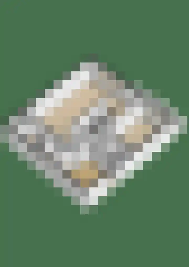Cayennedreef 20 Utrecht thumbnail 48