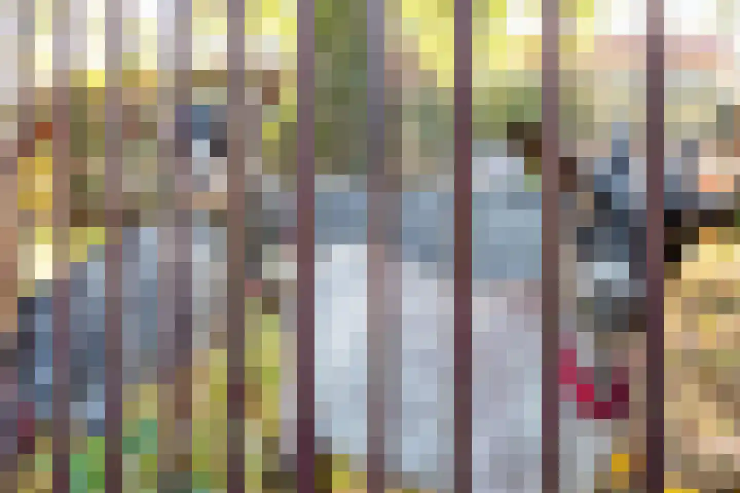 Cayennedreef 26 Utrecht thumbnail 29