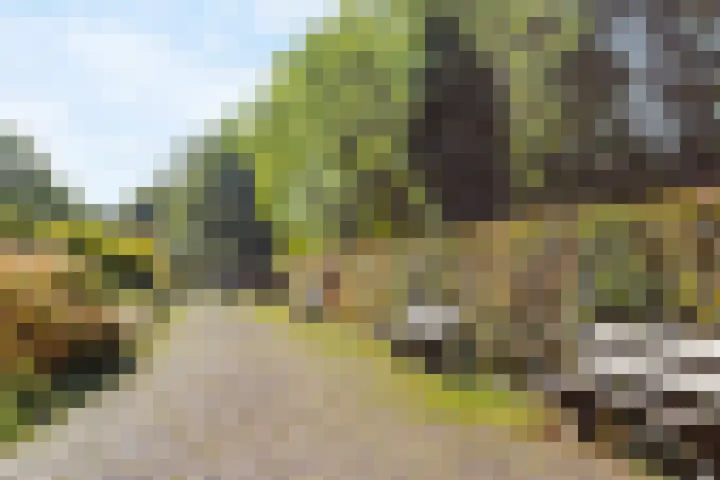 Cayennedreef 26 Utrecht thumbnail 30