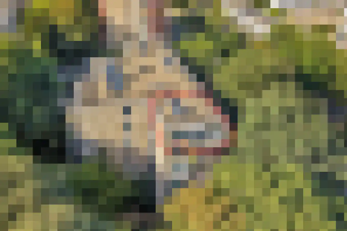 Cayennedreef 26 Utrecht thumbnail 4