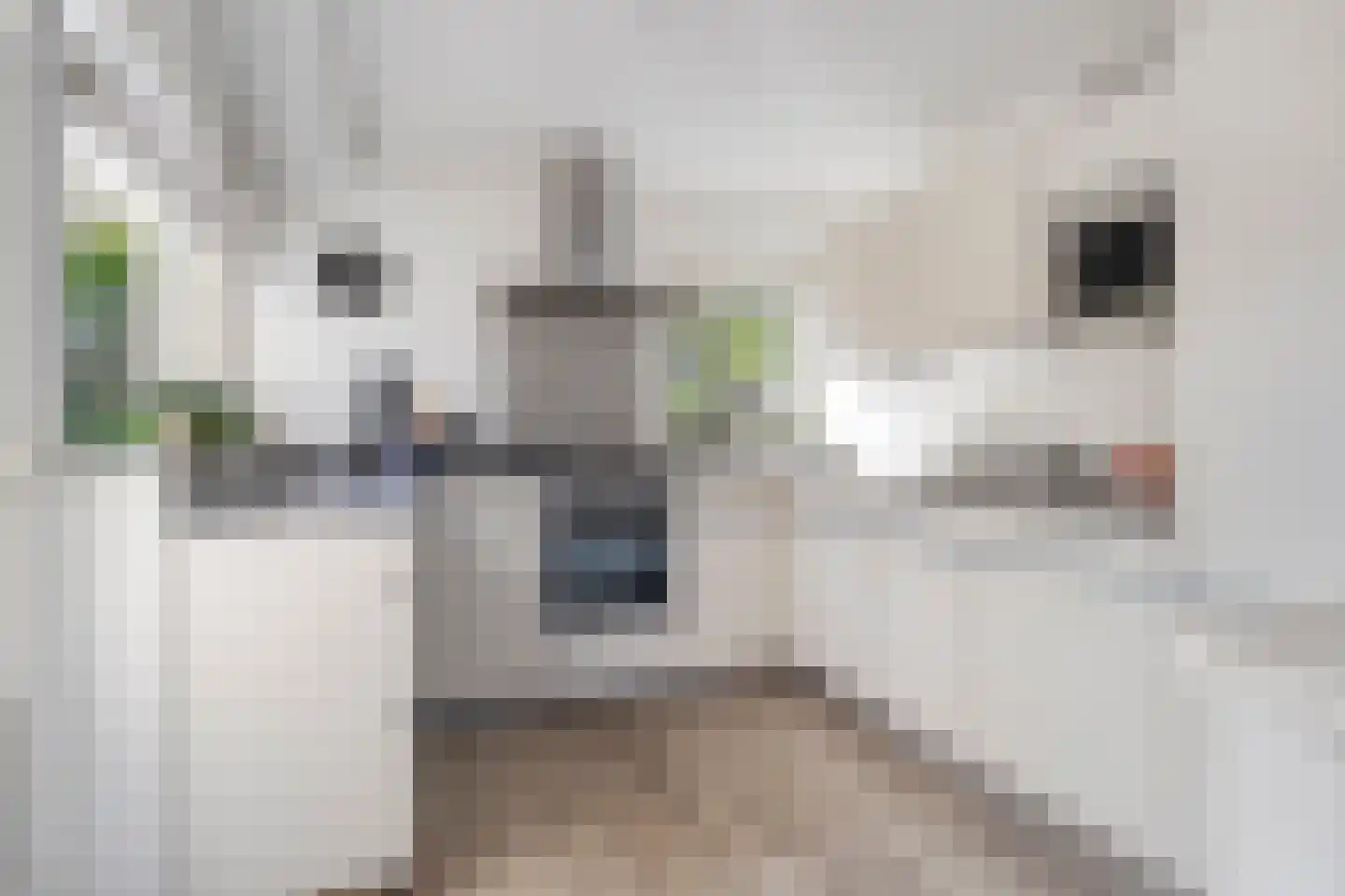 Cayennehof 32 Voorhout thumbnail 12