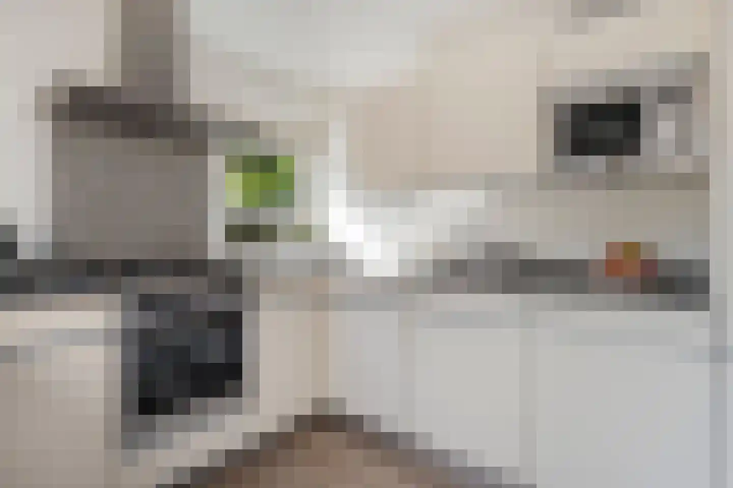 Cayennehof 32 Voorhout thumbnail 13