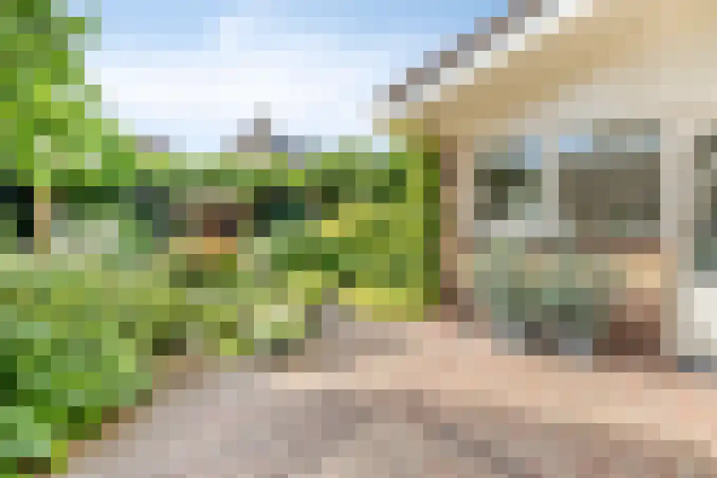 Cayennehof 32 Voorhout thumbnail 19