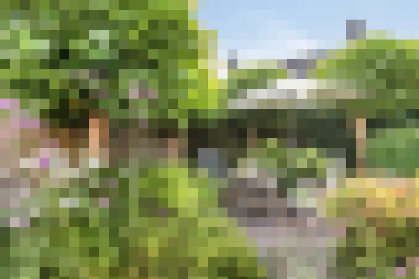 Cayennehof 32 Voorhout thumbnail 20