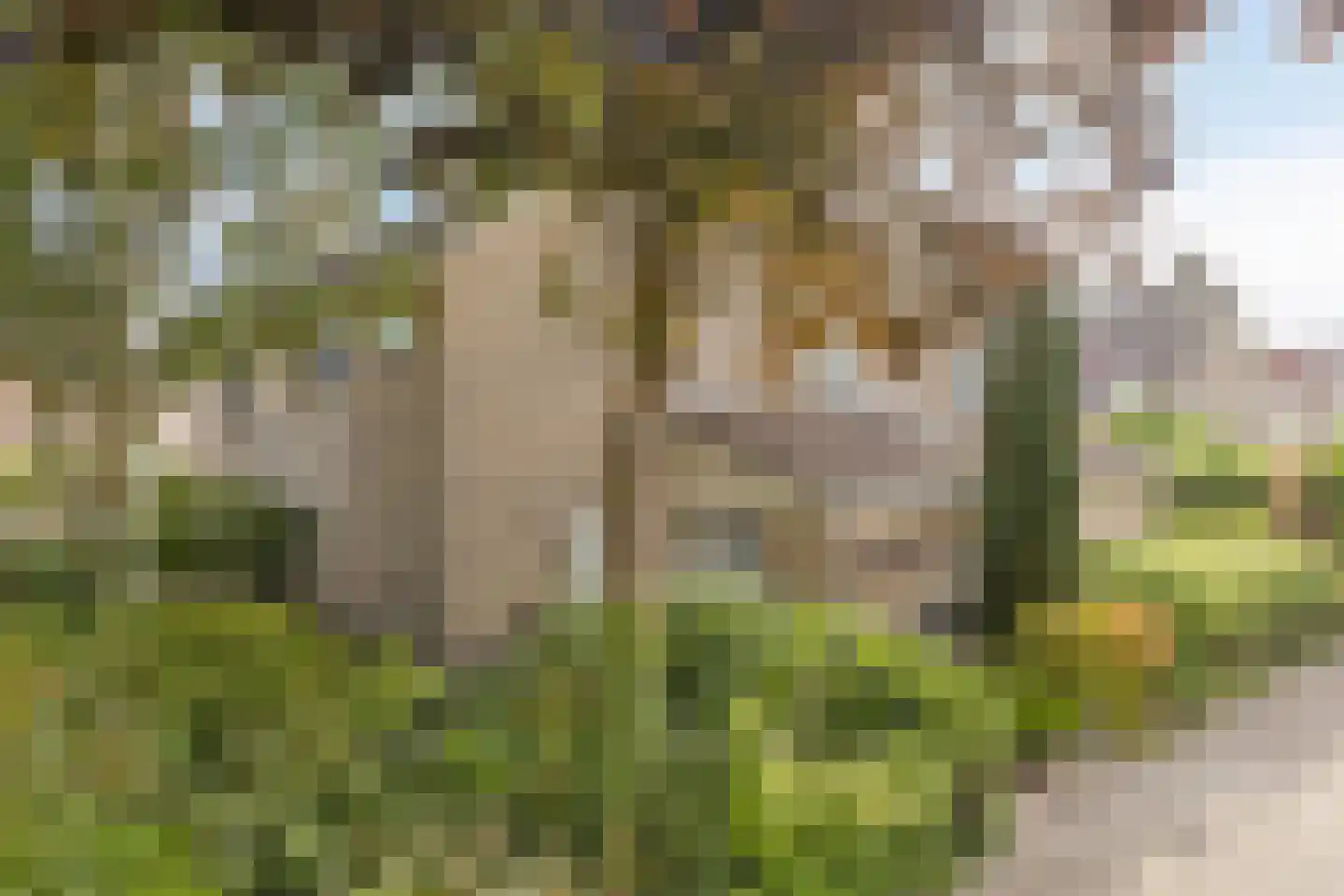 Cayennehof 32 Voorhout thumbnail 33