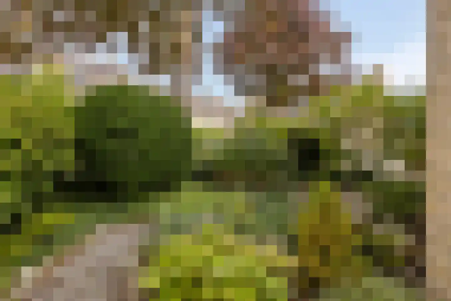 Cayennehof 32 Voorhout thumbnail 34