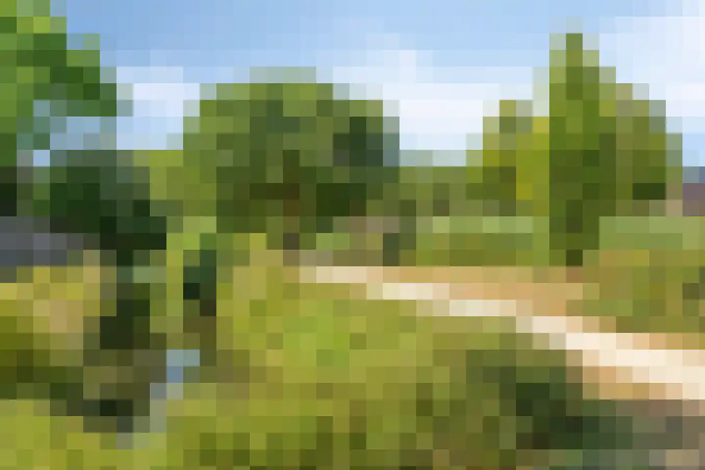 Cayennehof 32 Voorhout thumbnail 35