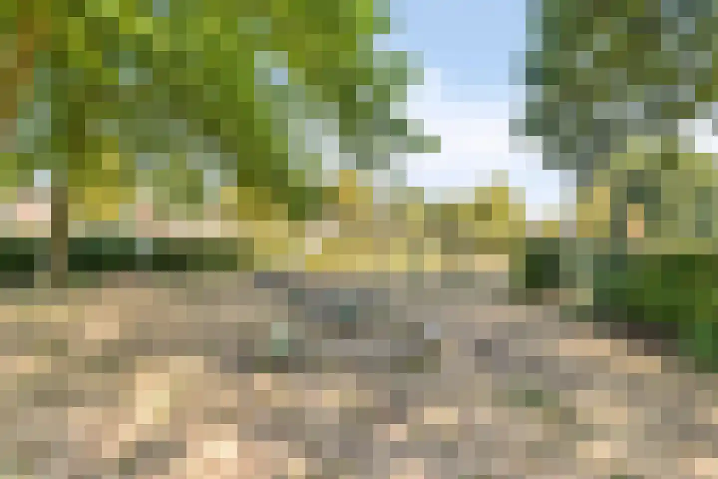 Cayennehof 32 Voorhout thumbnail 36