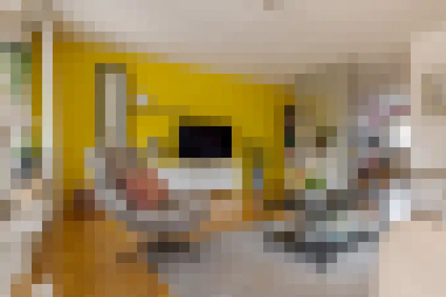 Cazemiershof 13 Tolbert thumbnail 14