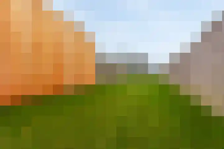 Cazenderstraat 8 Meerssen thumbnail 37