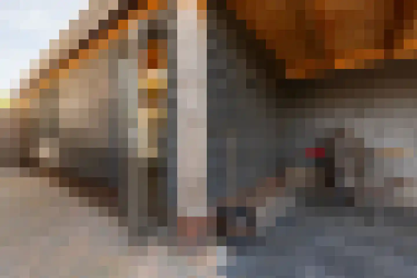 Cecil Powellhof 3 Almere thumbnail 5