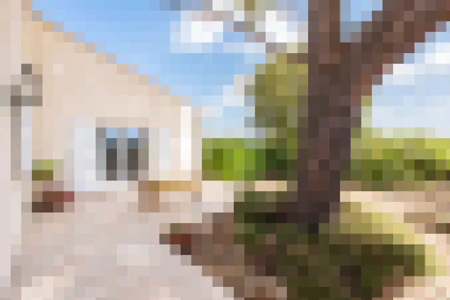 Cecile Goekoopstraat 97 Rijen thumbnail 50