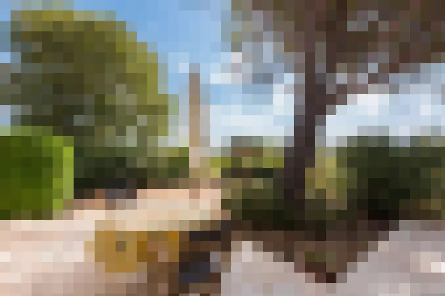Cecile Goekoopstraat 97 Rijen thumbnail 51