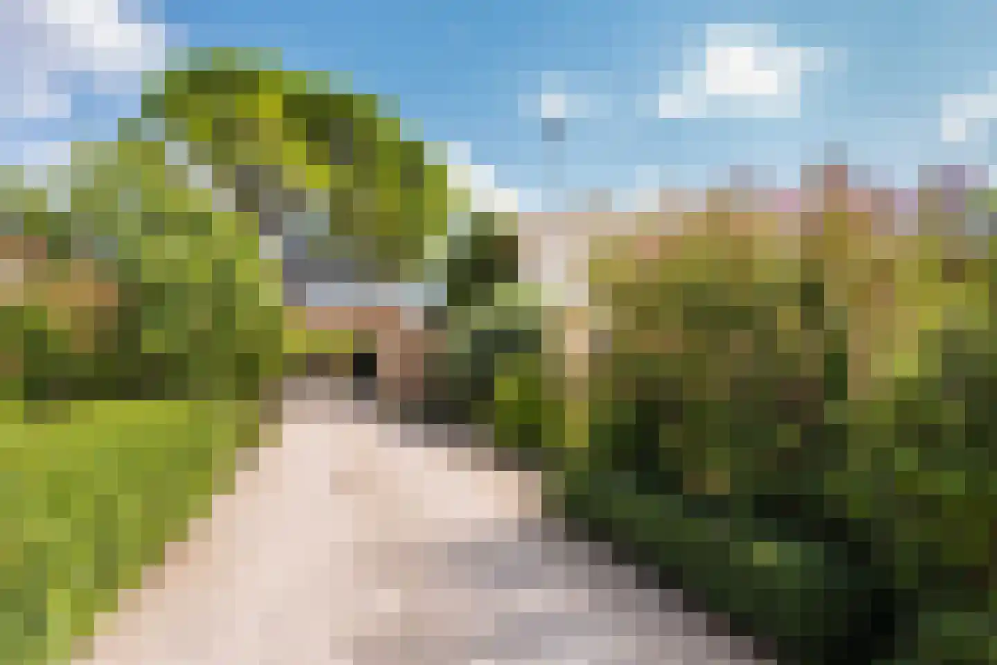 Cecile Goekoopstraat 97 Rijen thumbnail 66