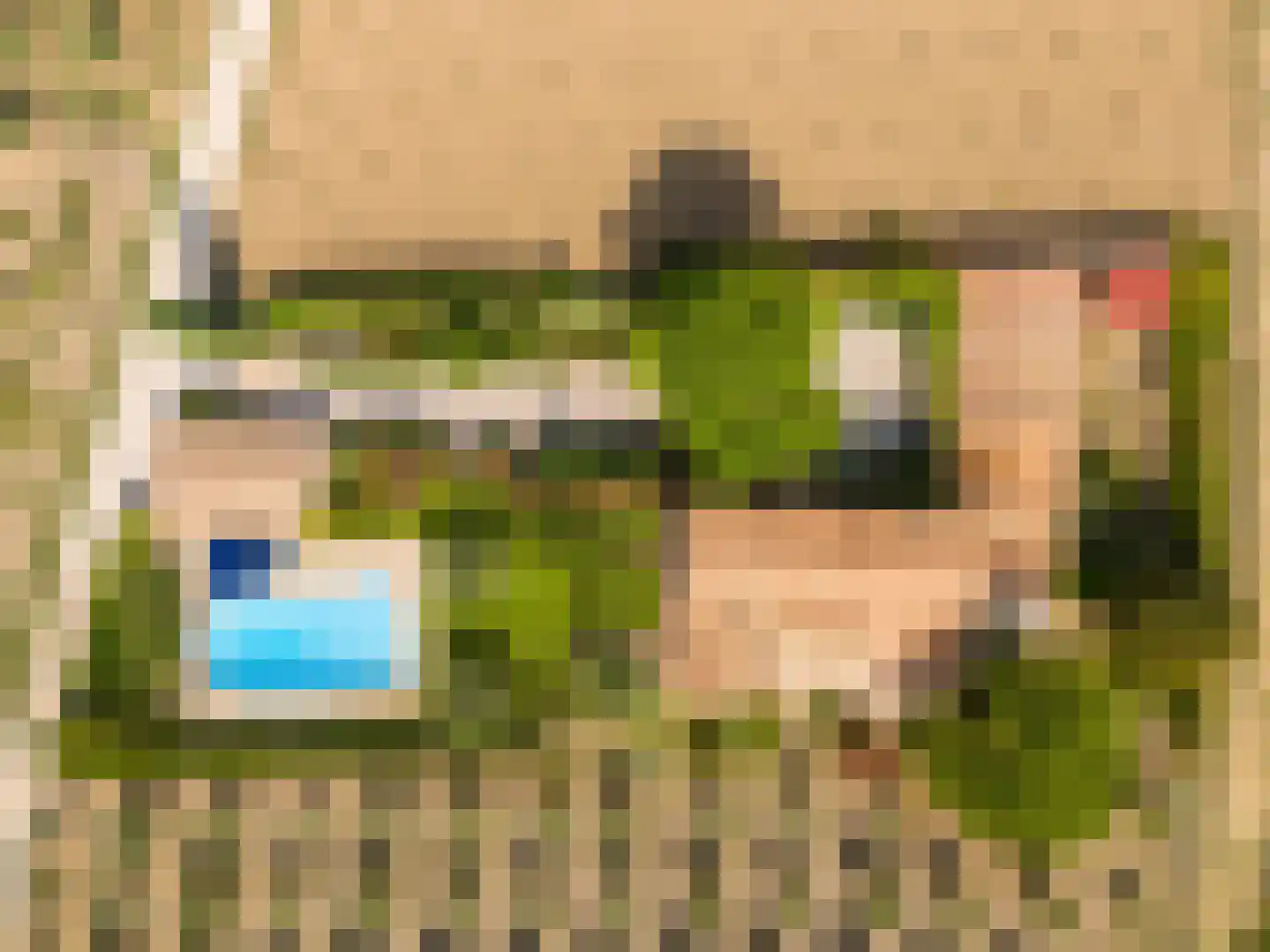 Cecile Goekoopstraat 97 Rijen thumbnail 73