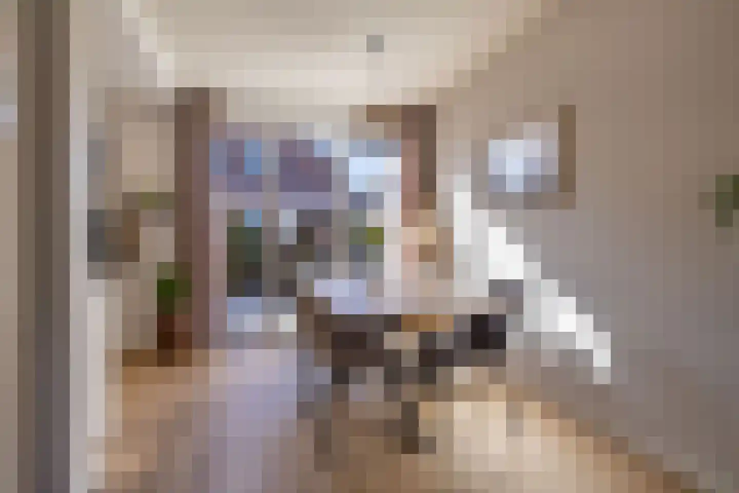 Cecilia Benninghastrjitte 16 Tzummarum thumbnail 21