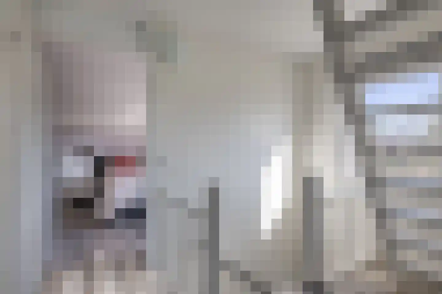 Cecilia Benninghastrjitte 16 Tzummarum thumbnail 29