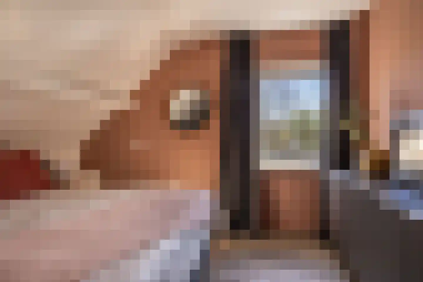 Cecilia Benninghastrjitte 16 Tzummarum thumbnail 34