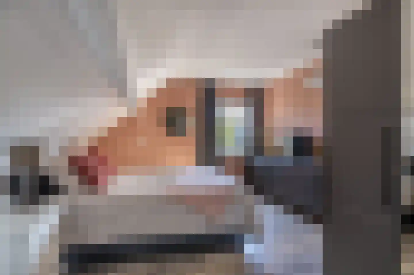 Cecilia Benninghastrjitte 16 Tzummarum thumbnail 4