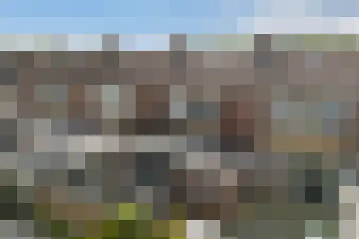 Cecilia Benninghastrjitte 5 Tzummarum thumbnail 30