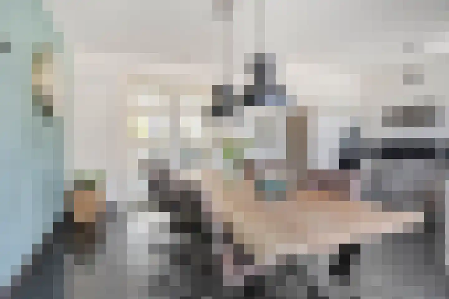 Ceciliastraat 22 Veghel thumbnail 15