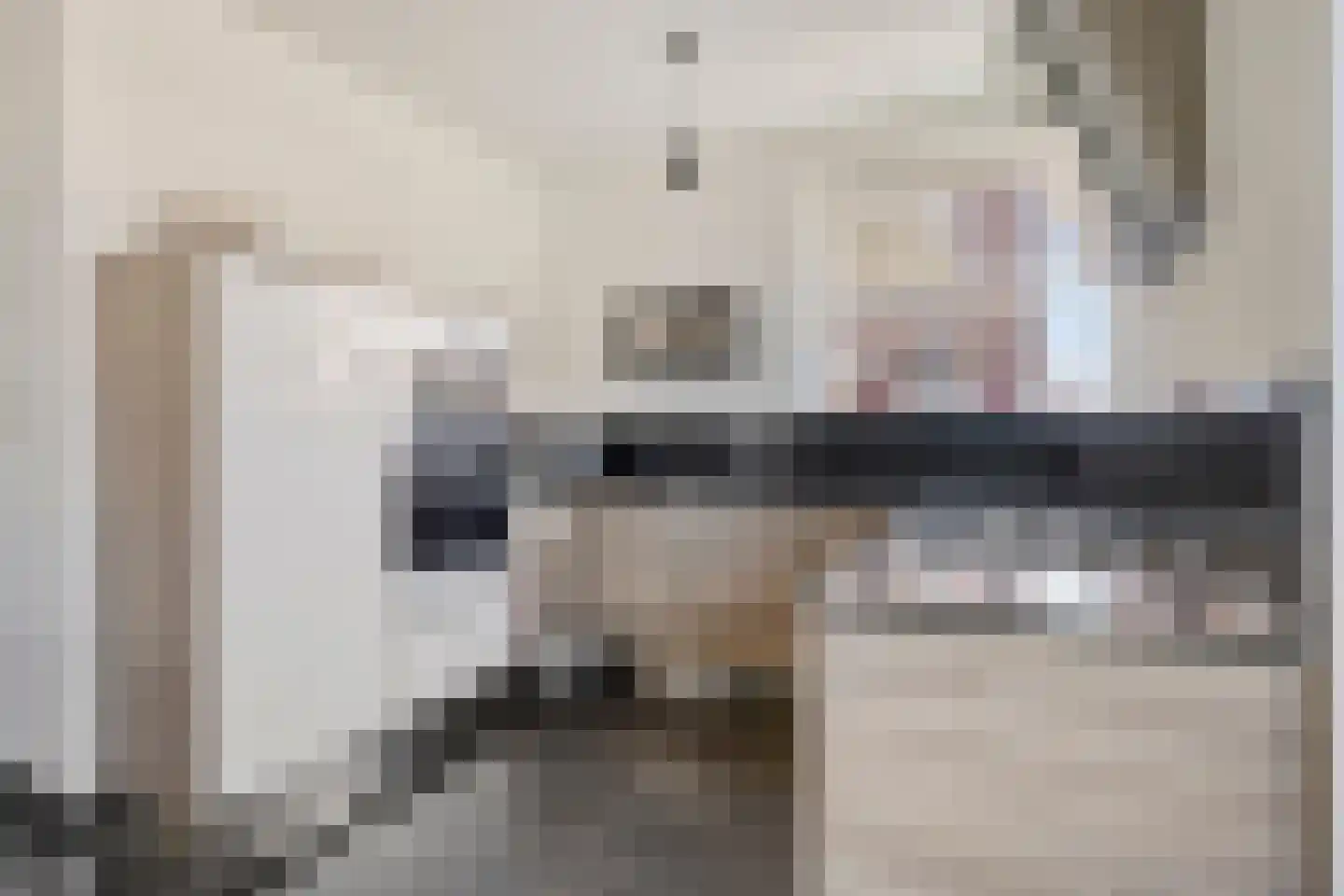 Ceciliastraat 22 Veghel thumbnail 16