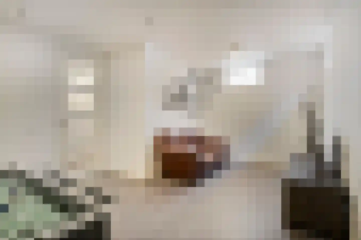 Ceciliastraat 22 Veghel thumbnail 24