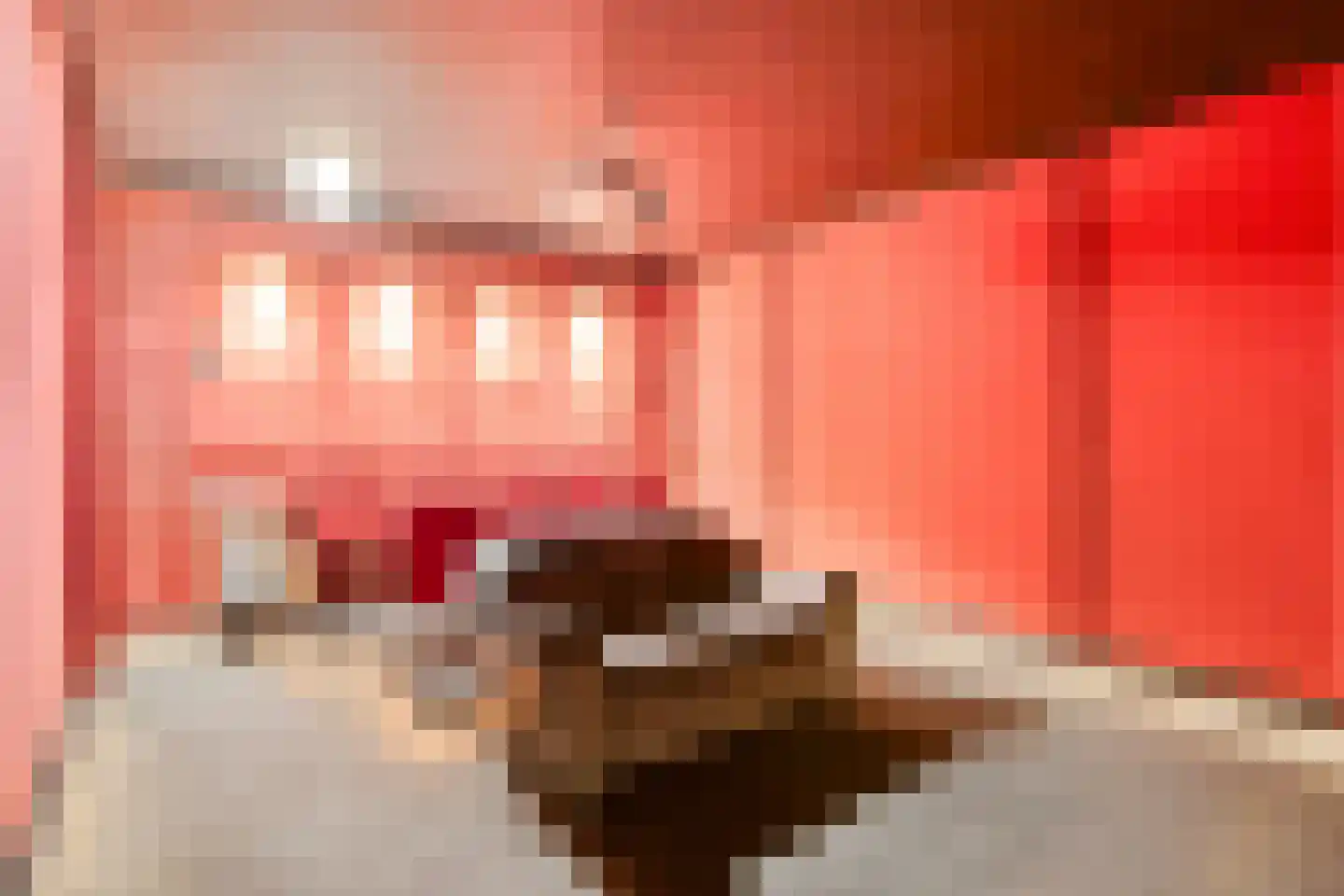 Ceciliastraat 22 Veghel thumbnail 27