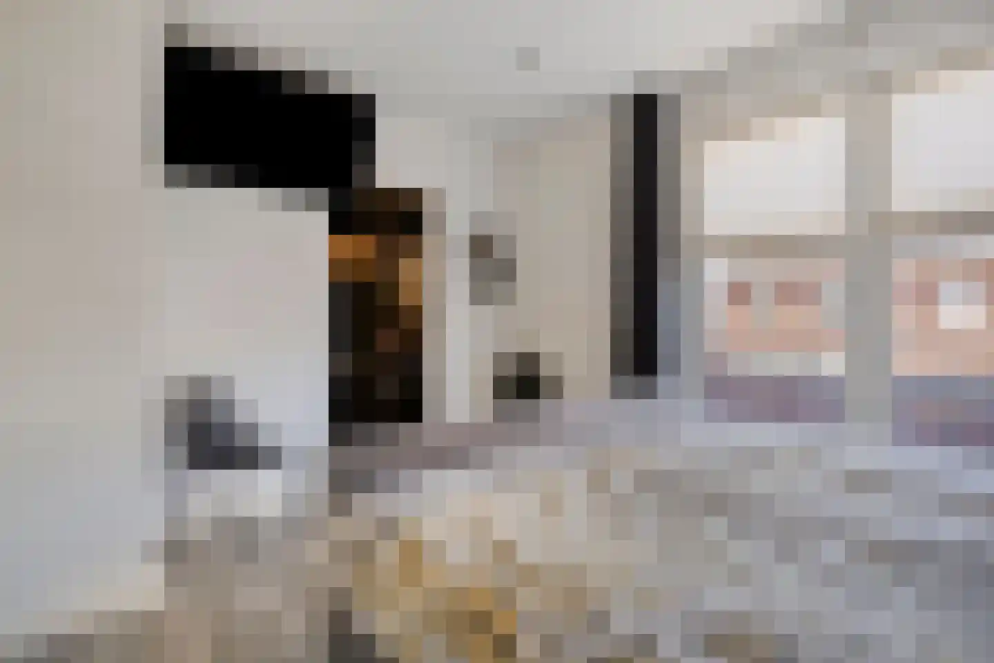 Ceciliastraat 22 Veghel thumbnail 30