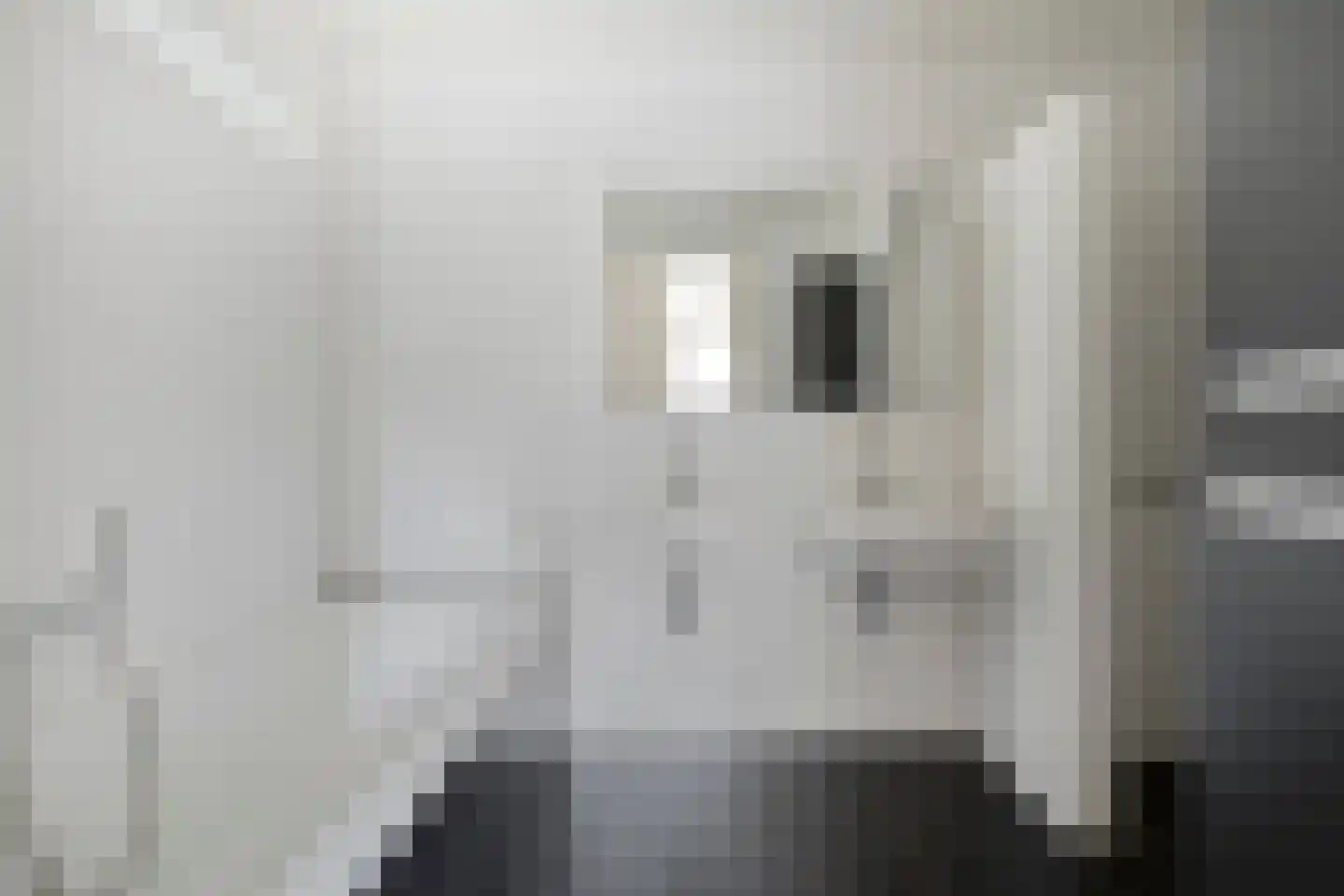Ceciliastraat 22 Veghel thumbnail 34
