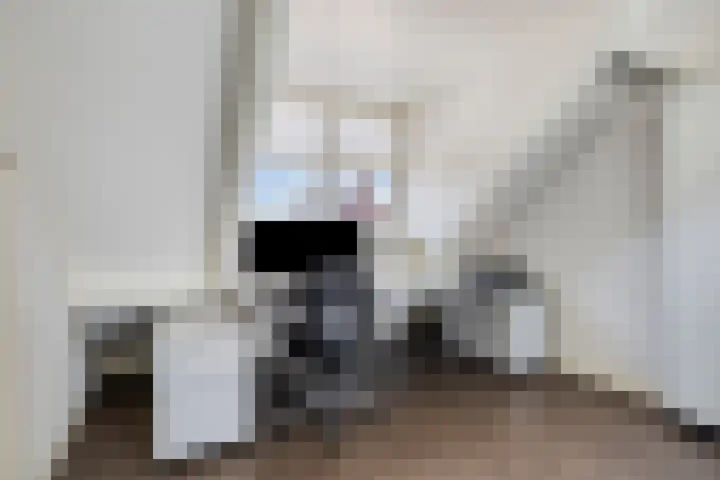 Ceciliastraat 22 Veghel thumbnail 47