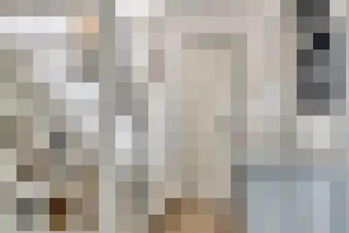 Ceciliastraat 37 Veldhoven thumbnail 13
