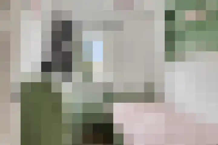 Ceciliastraat 37 Veldhoven thumbnail 17